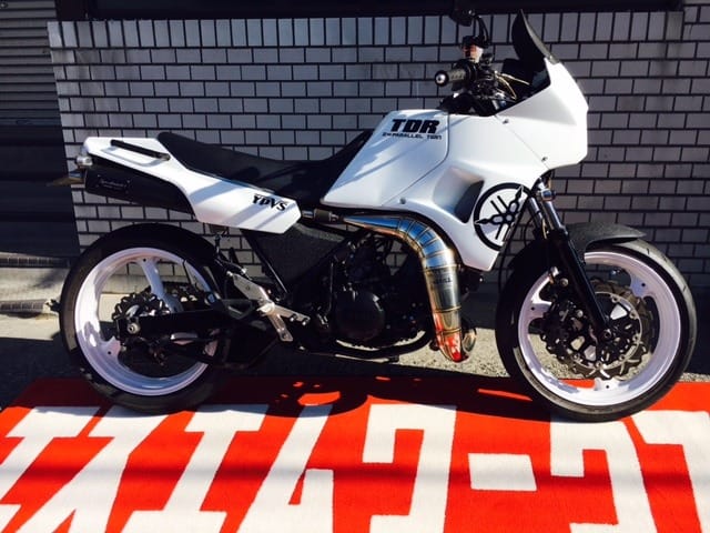 TDR250 SMWORKSコンプリート